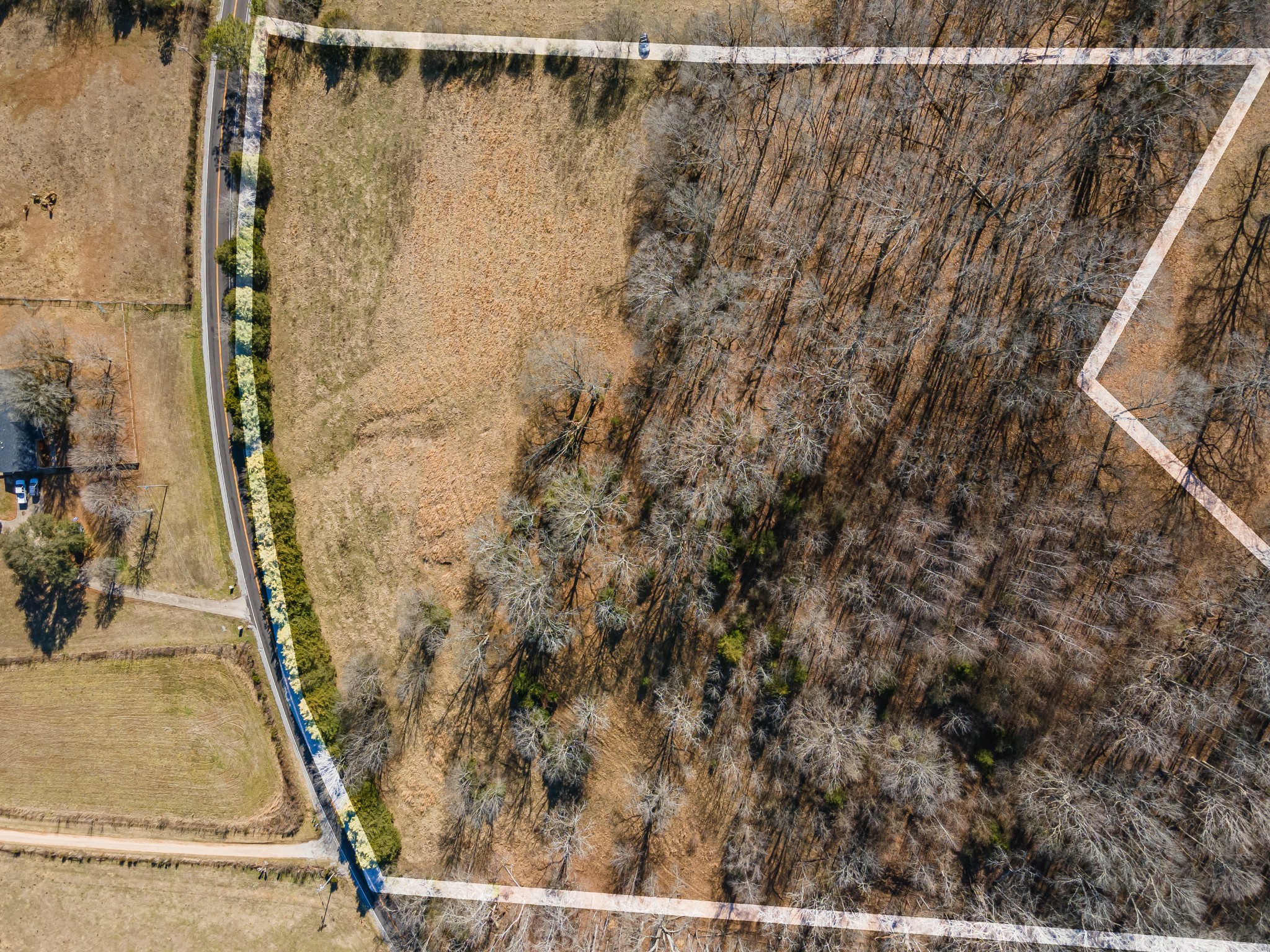 0 Hurricane Creek Road Lawrenceburg, TN 38464 - Photo 5 of 20