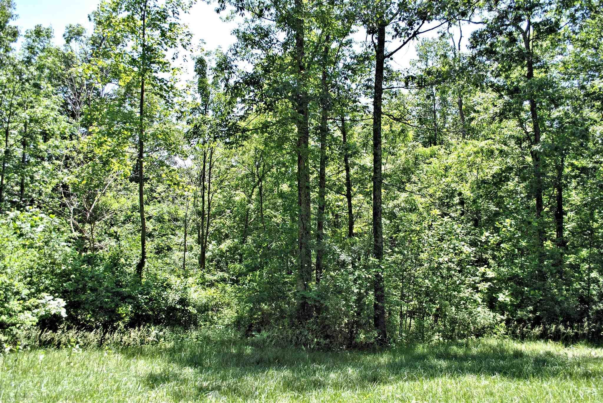 Tbd 6.816-ac Tbd 6.816-ac Hendrickson Road Ripplemead, VA 24150 - Photo 14 of 14 Gallery Image 14