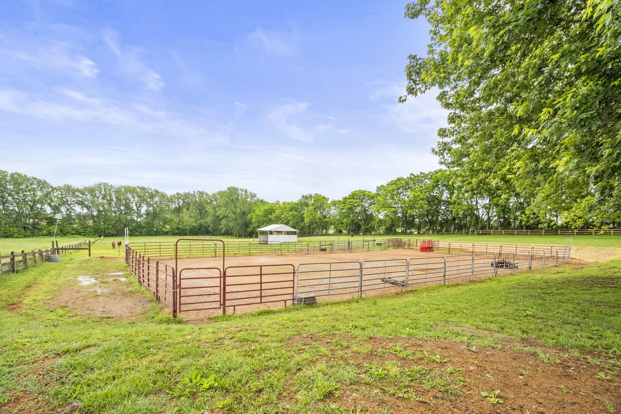 5535 Highway 161 Springfield, TN 37172 - Photo 40 of 53