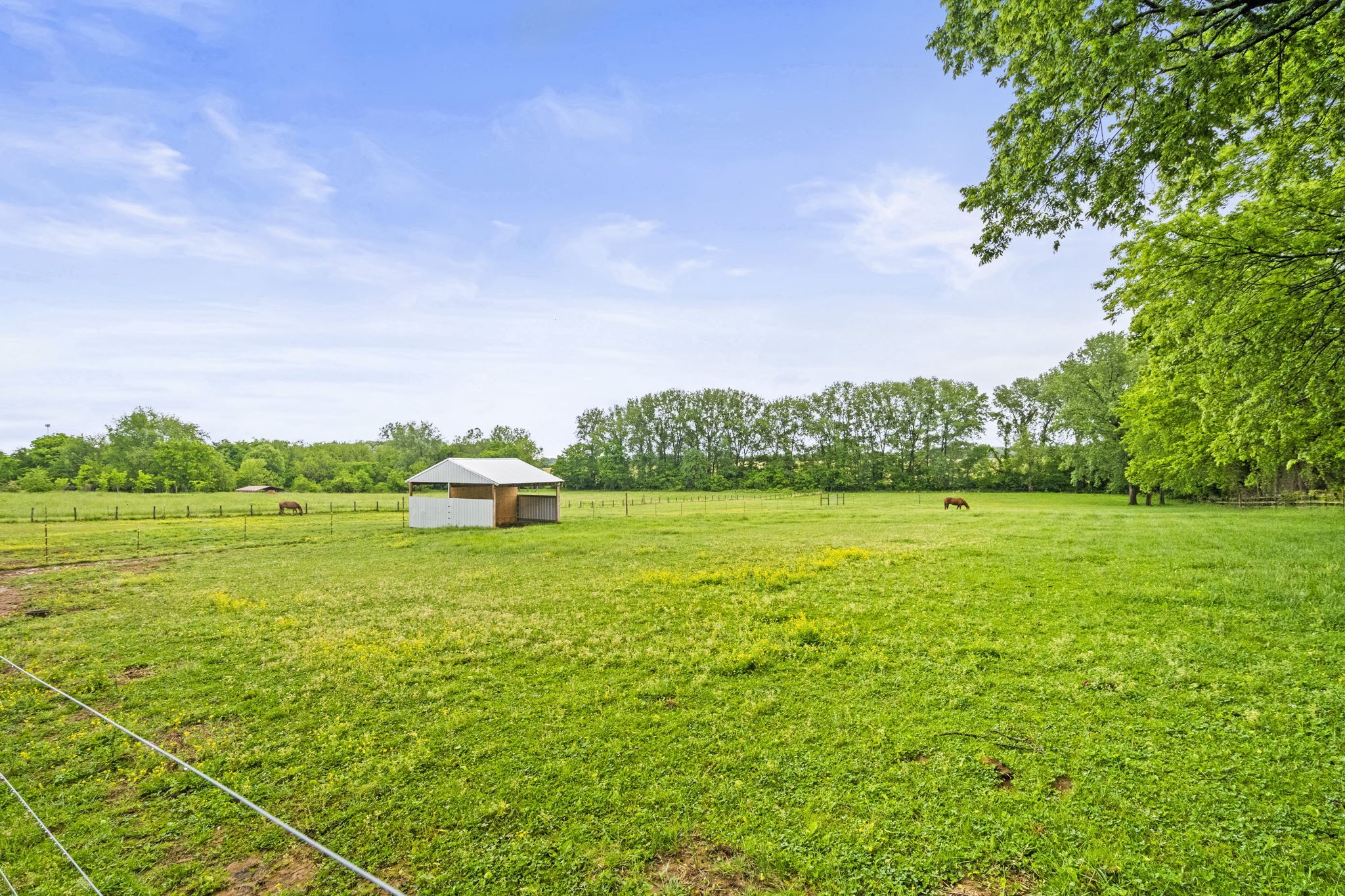 5535 Highway 161 Springfield, TN 37172 - Photo 45 of 53