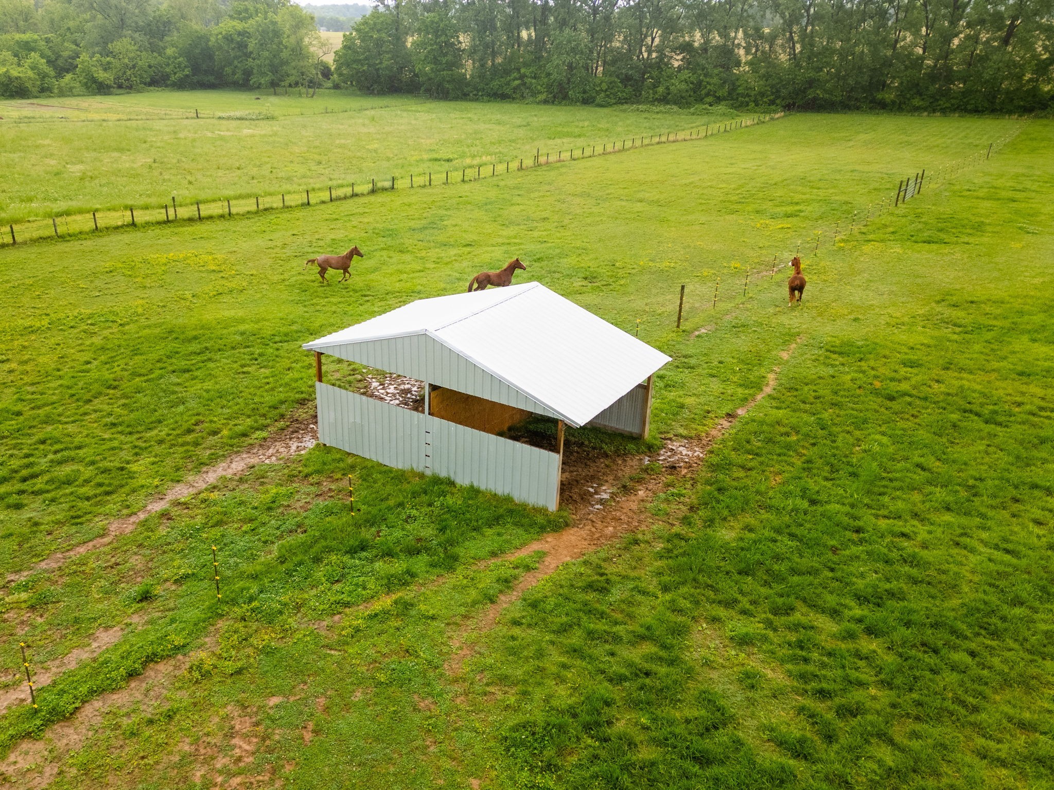 5535 Highway 161 Springfield, TN 37172 - Photo 46 of 53