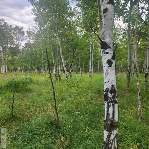 $954,000 | 4600 North 4600 East, Ashton, ID 83420