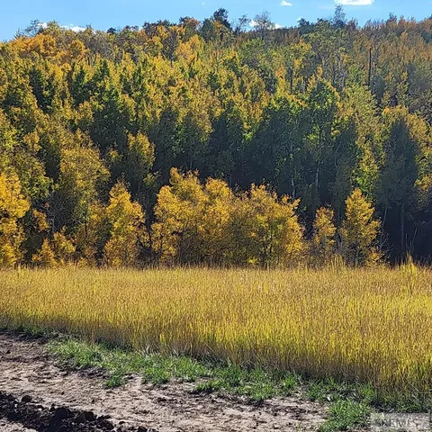 $954,000 | 4600 North 4600 East, Ashton, ID 83420