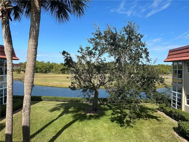 a view of a yard with plants