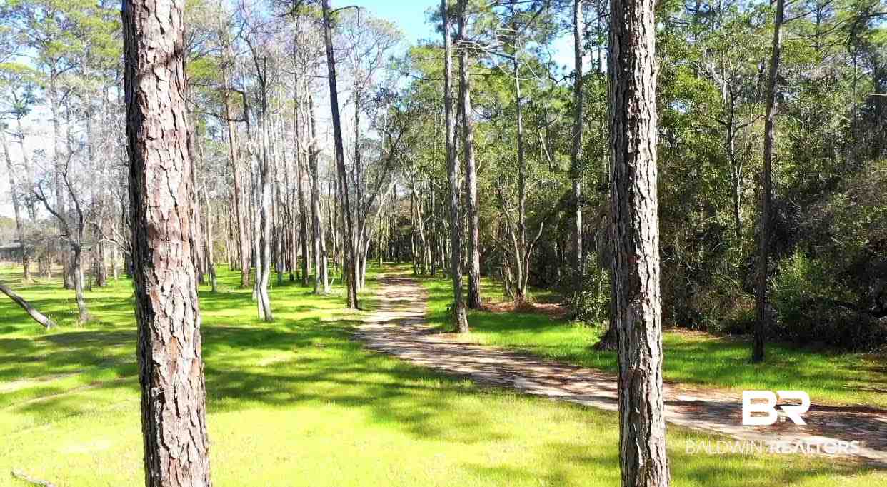 0 Collins Lane Foley, AL 36535 - Photo 9 of 13