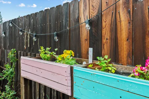 a view of outdoor space yard and patio