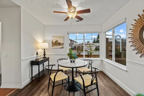 a kitchen with a sink and a potted plant with wooden floor