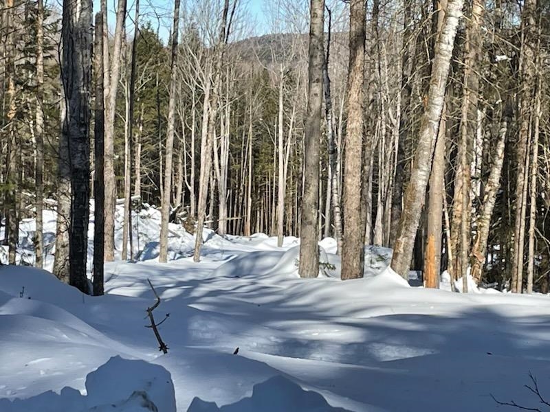 0 East Bear Swamp Road Middlesex, VT 05602 - Photo 1 of 17