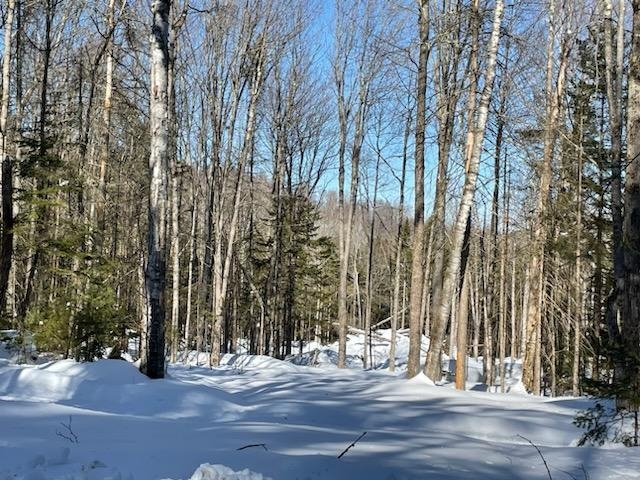 0 East Bear Swamp Road Middlesex, VT 05602 - Photo 3 of 17