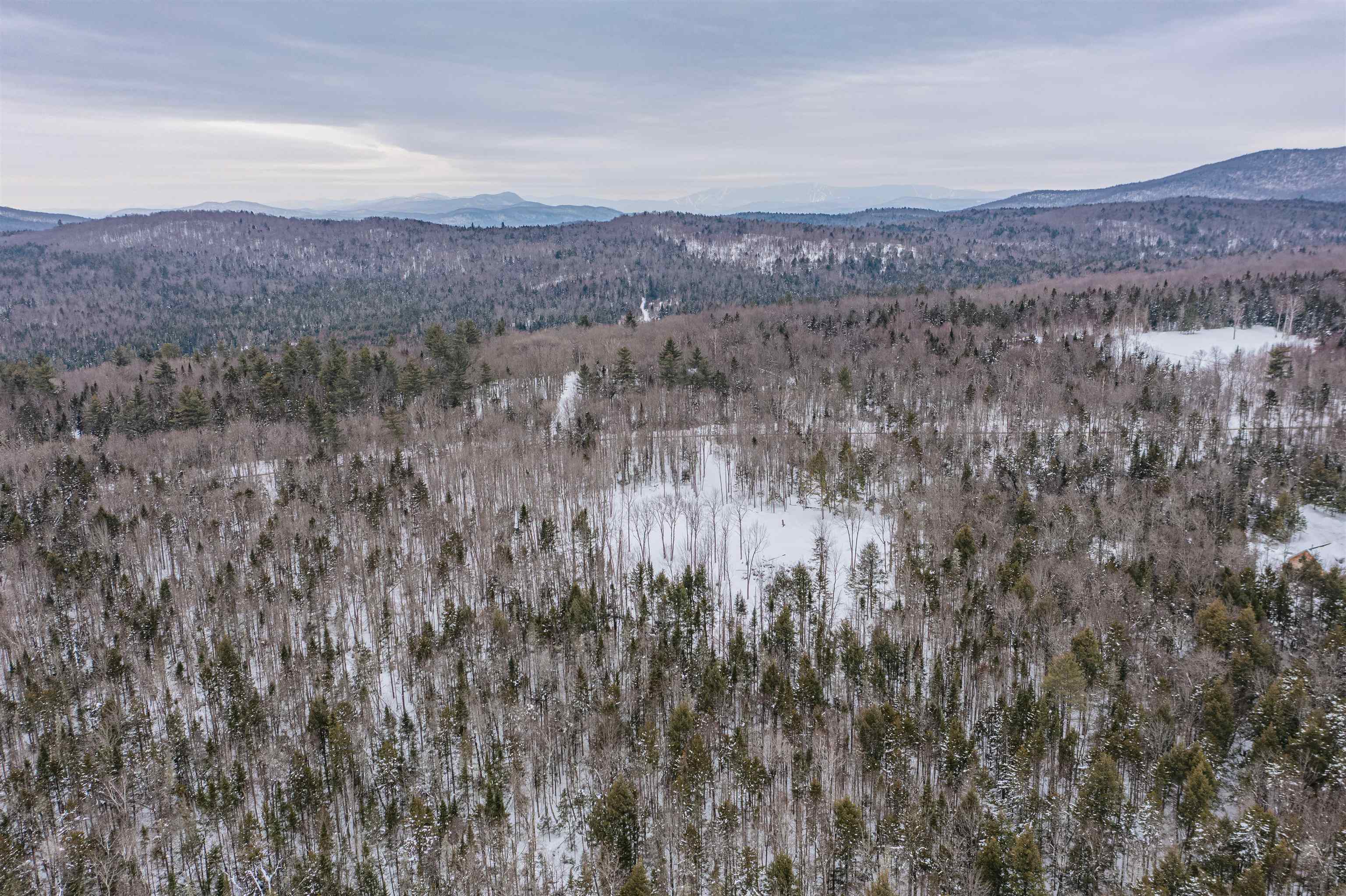 0 East Bear Swamp Road Middlesex, VT 05602 - Photo 8 of 17