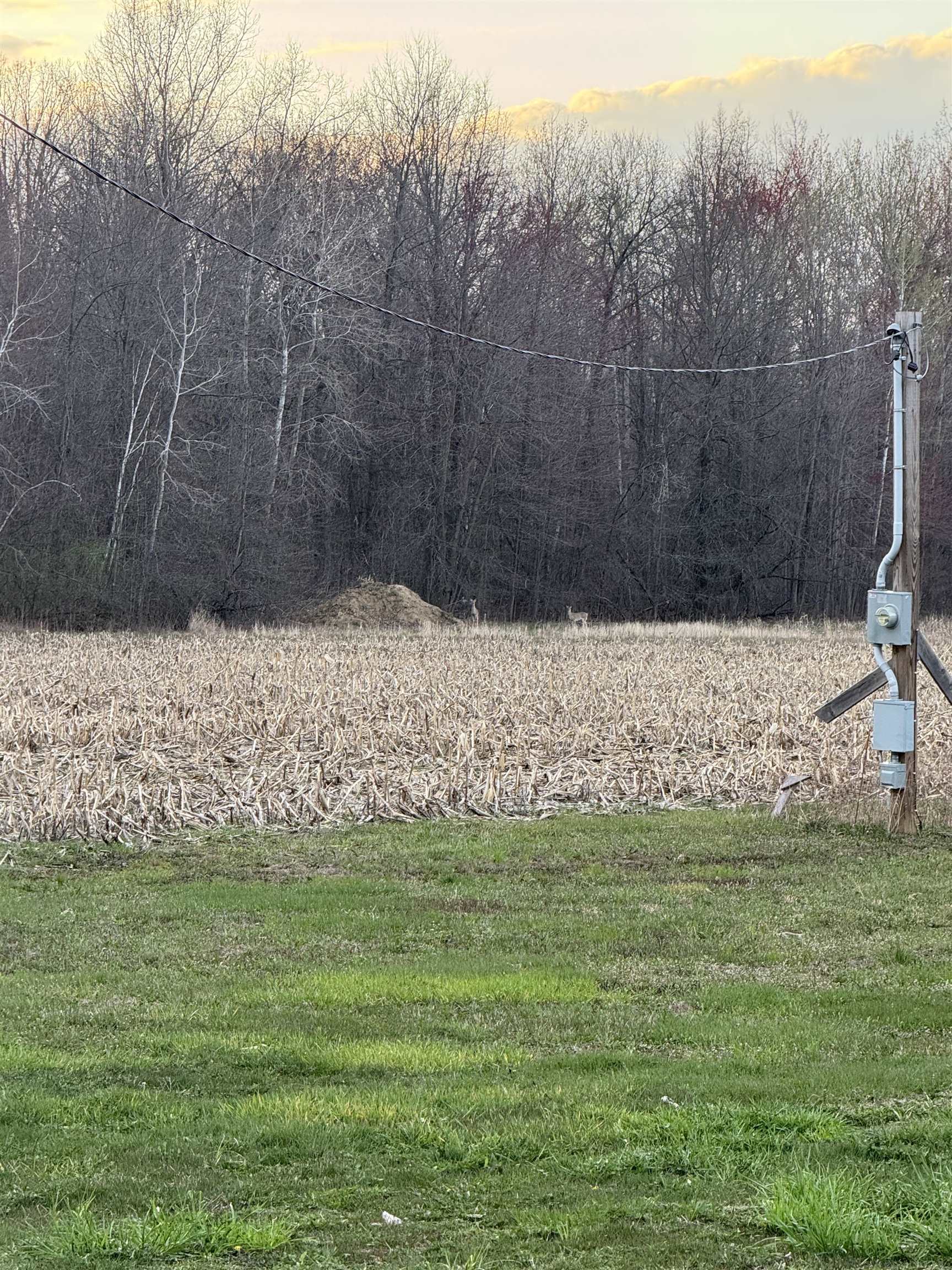 12700 Sheridan Road Burt, MI 48417 - Photo 5 of 20