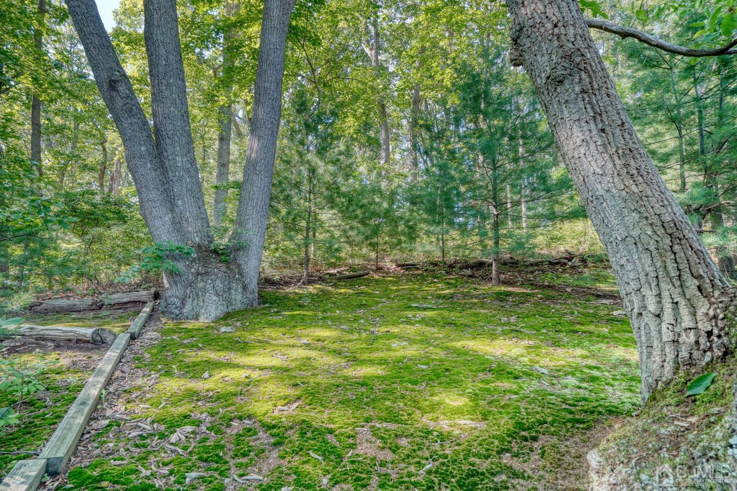 19 Morningside Drive Old Bridge, NJ 08857 - Photo 37 of 40 a view of outdoor space and yard