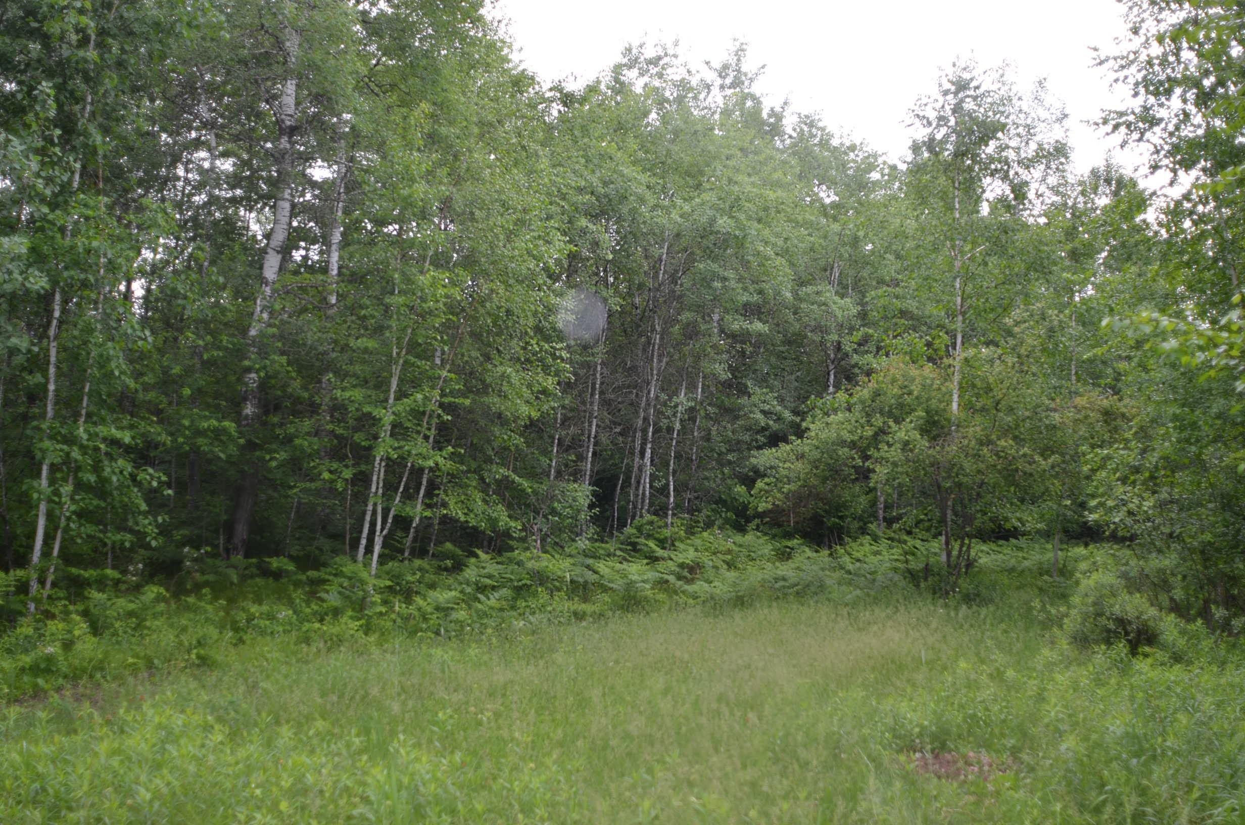4140 Poskie Road Rhinelander, WI 54501 - Photo 58 of 58