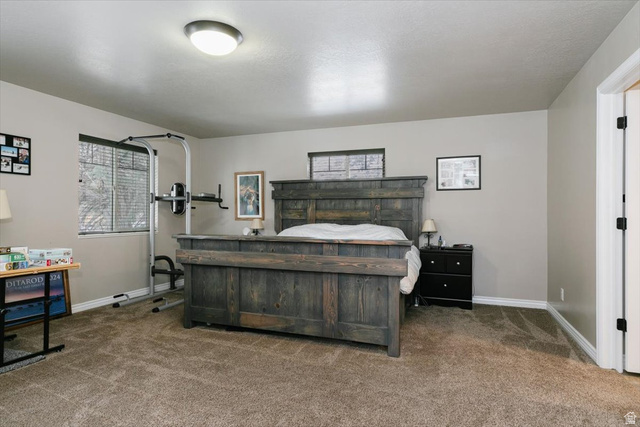 7203 East Cub River Road Preston, ID 83263 - Photo 13 of 33 Bedroom with carpet