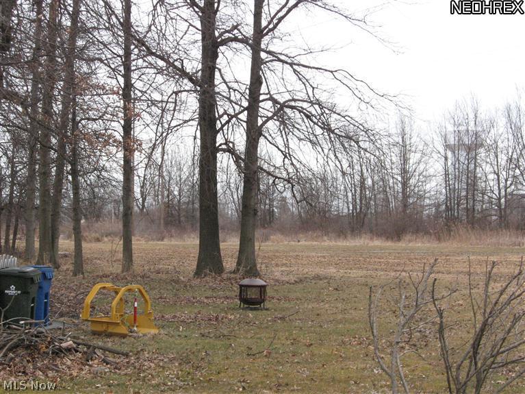 3899 Dunton Road Lorain, OH 44055 - Photo 5 of 10 SIDE YARD