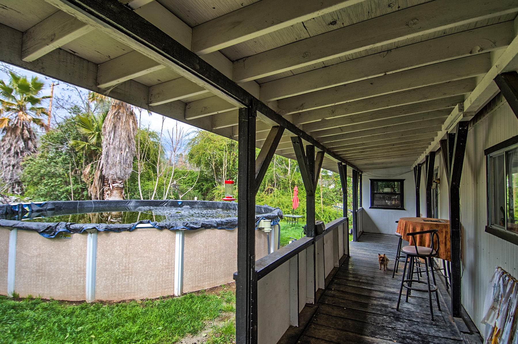 19397 Anna Road Anderson, CA 96007 - Photo 25 of 42 Backyard