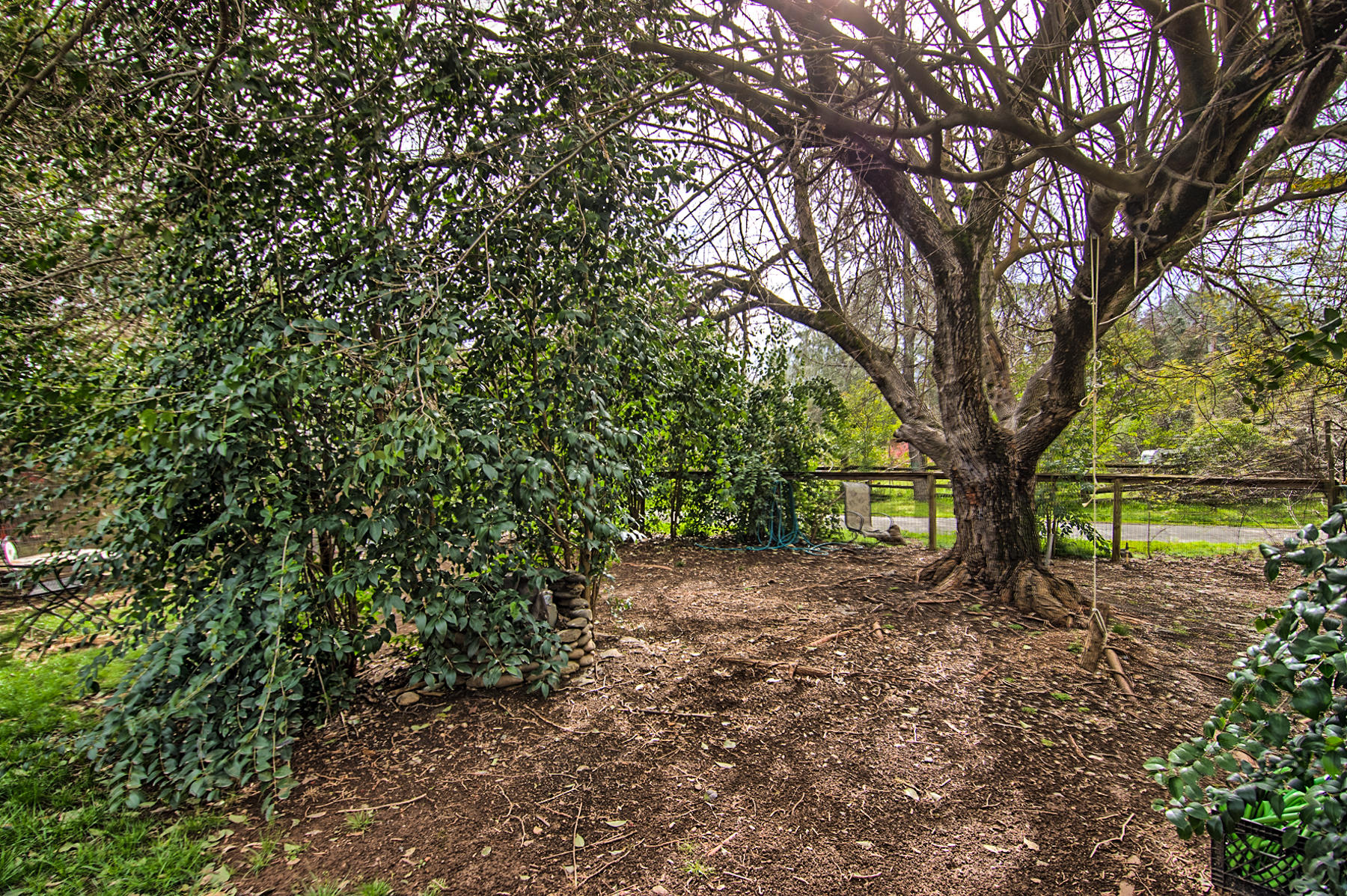 19397 Anna Road Anderson, CA 96007 - Photo 28 of 42 Yard