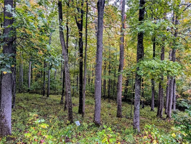 $89,500 | 14 Elk Creek Mountain, Todd, NC 28684