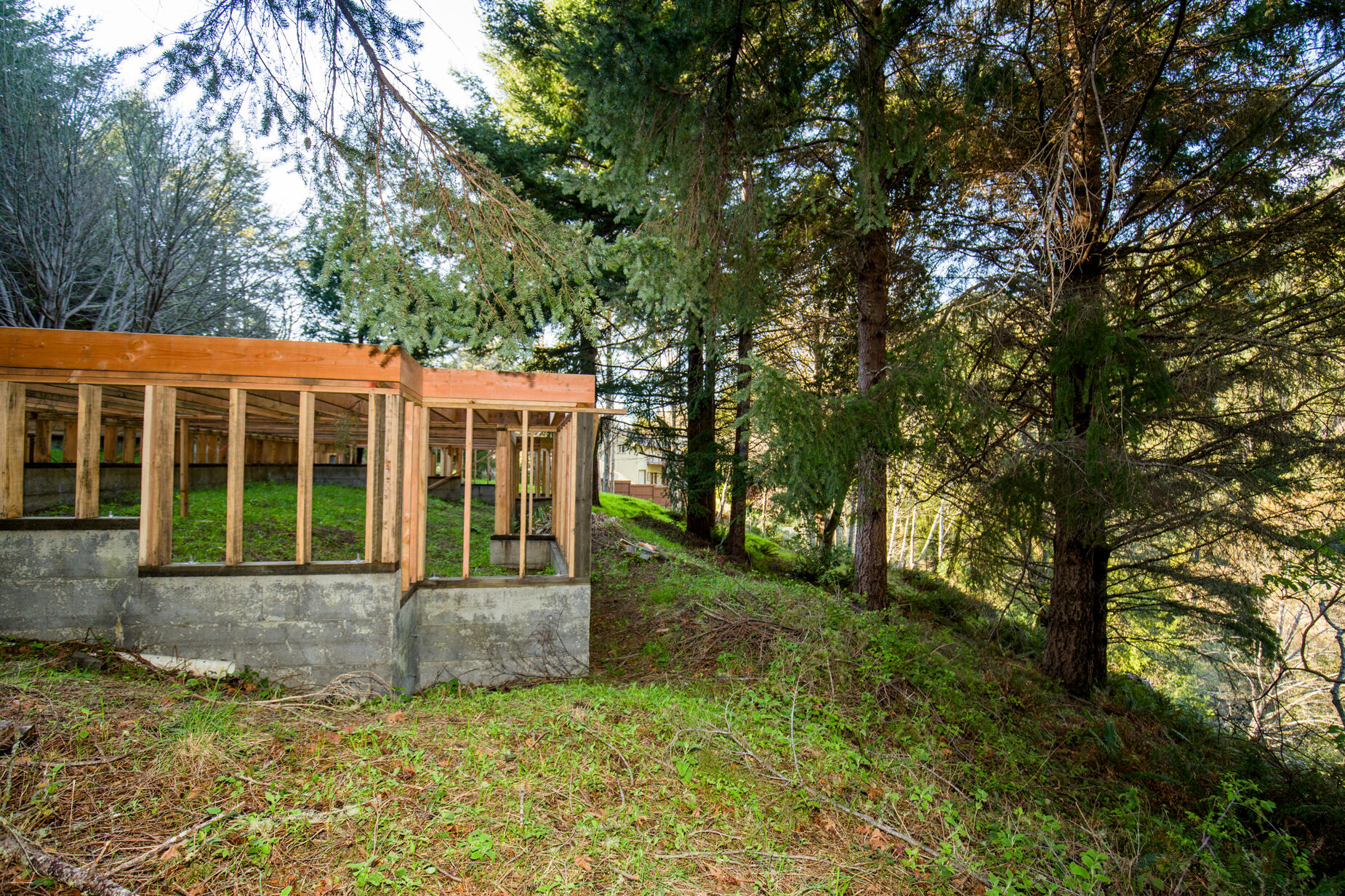515 Beach Road Shelter Cove, CA 95589 - Photo 10 of 31