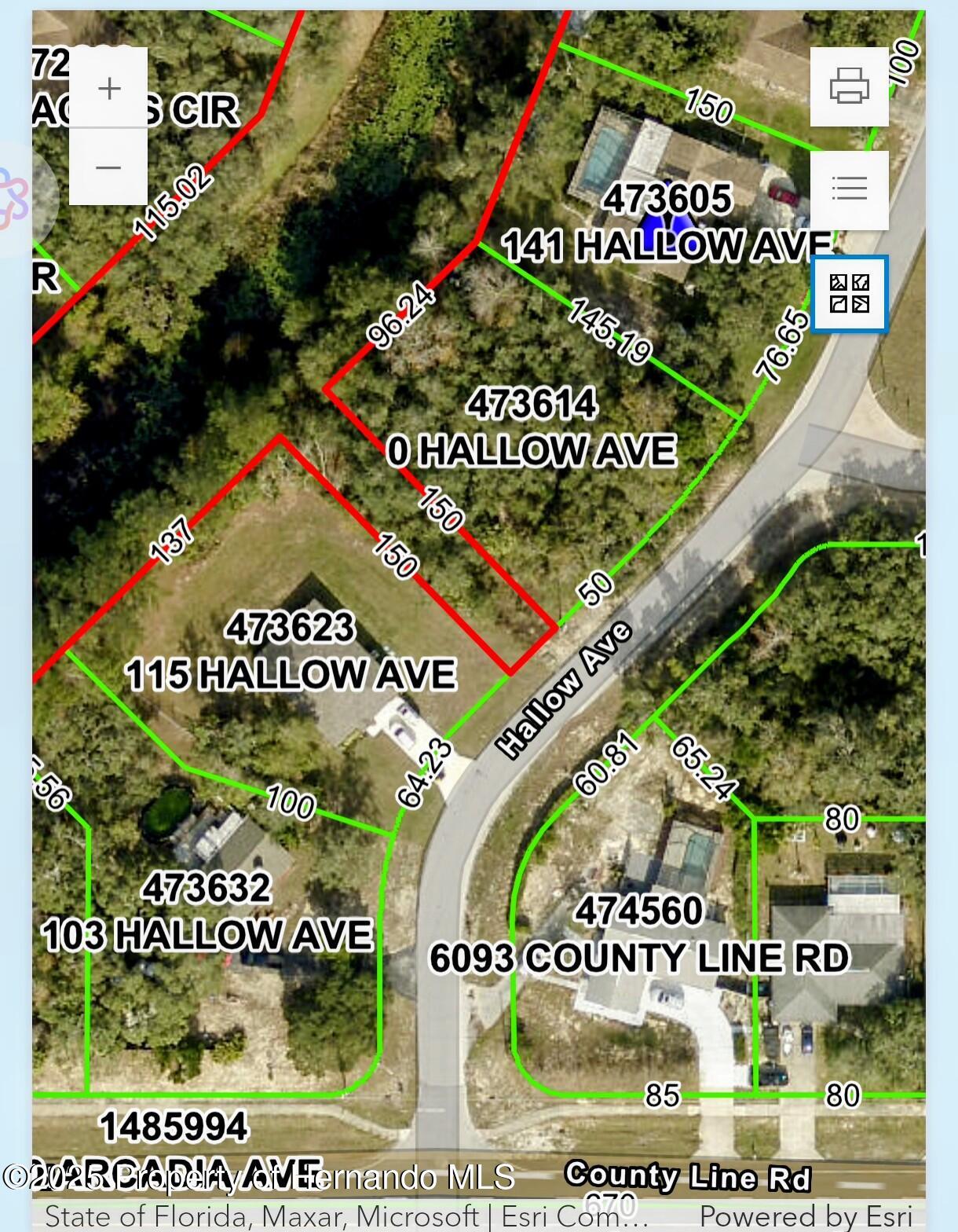 0 Hallow Avenue Spring Hill, FL 34606 - Photo 1 of 1 0 Hallow GIS Photo