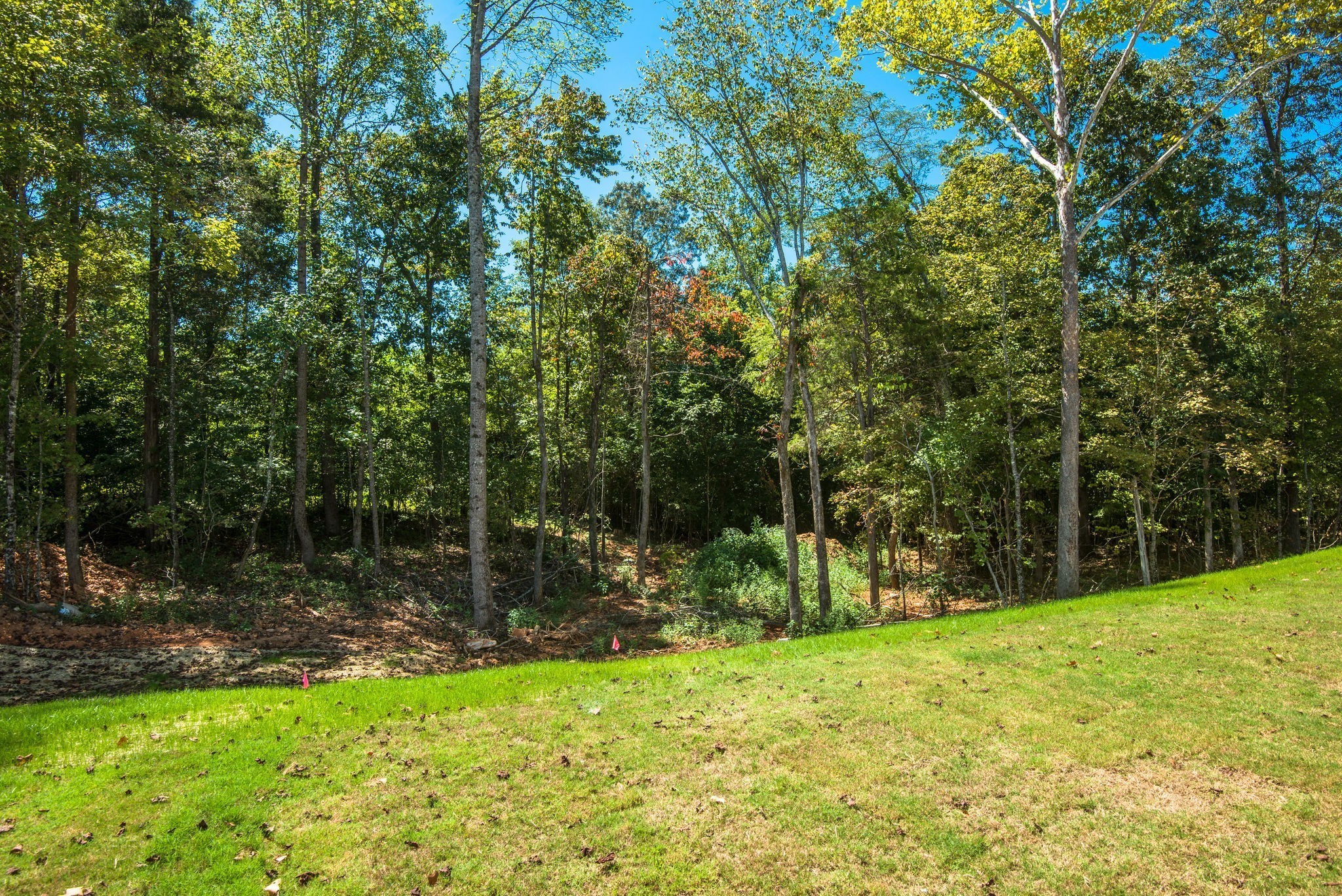 31 Sycamore Ridge Burns, TN 37029 - Photo 18 of 46 a view of outdoor space with deck and yard