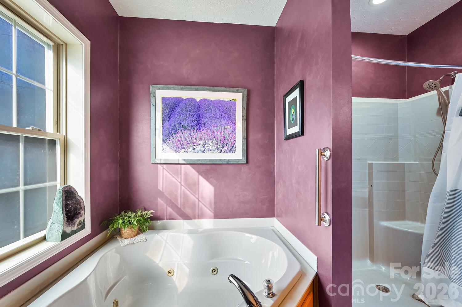 2 Ruffed Grouse Drive Weaverville, NC 28787 - Photo 25 of 44 a bath tub sitting next to a blue wall and a large window