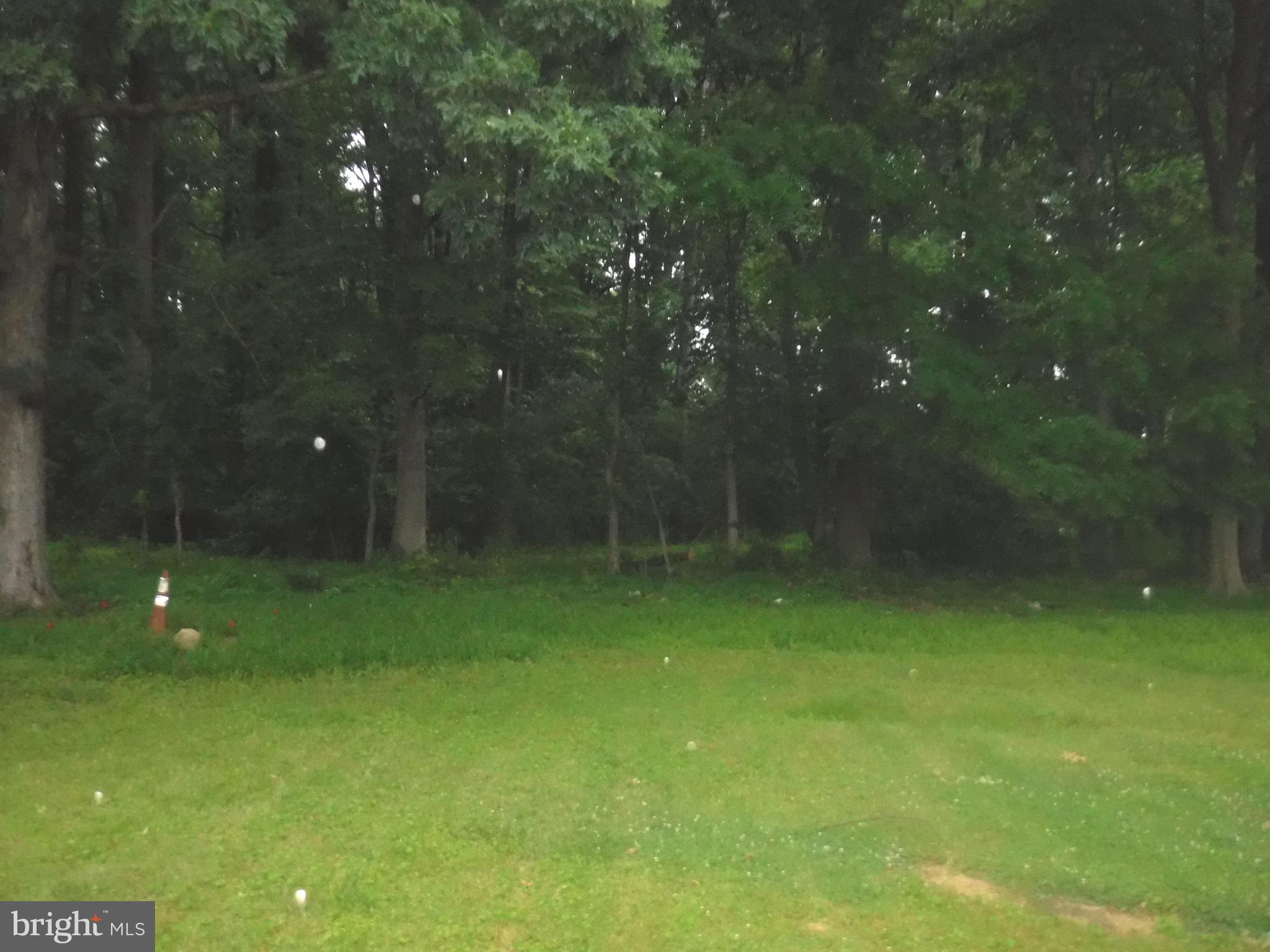 1001 Norwood Road Silver Spring, MD 20905 - Photo 7 of 18 Backyard