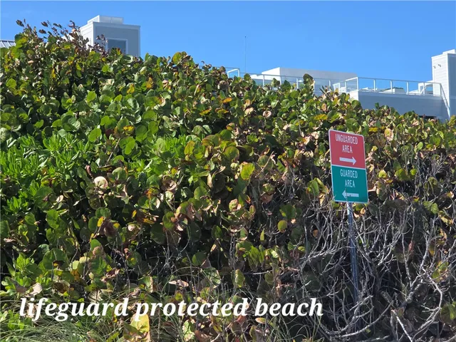 a view of a dry yard with wooden fence