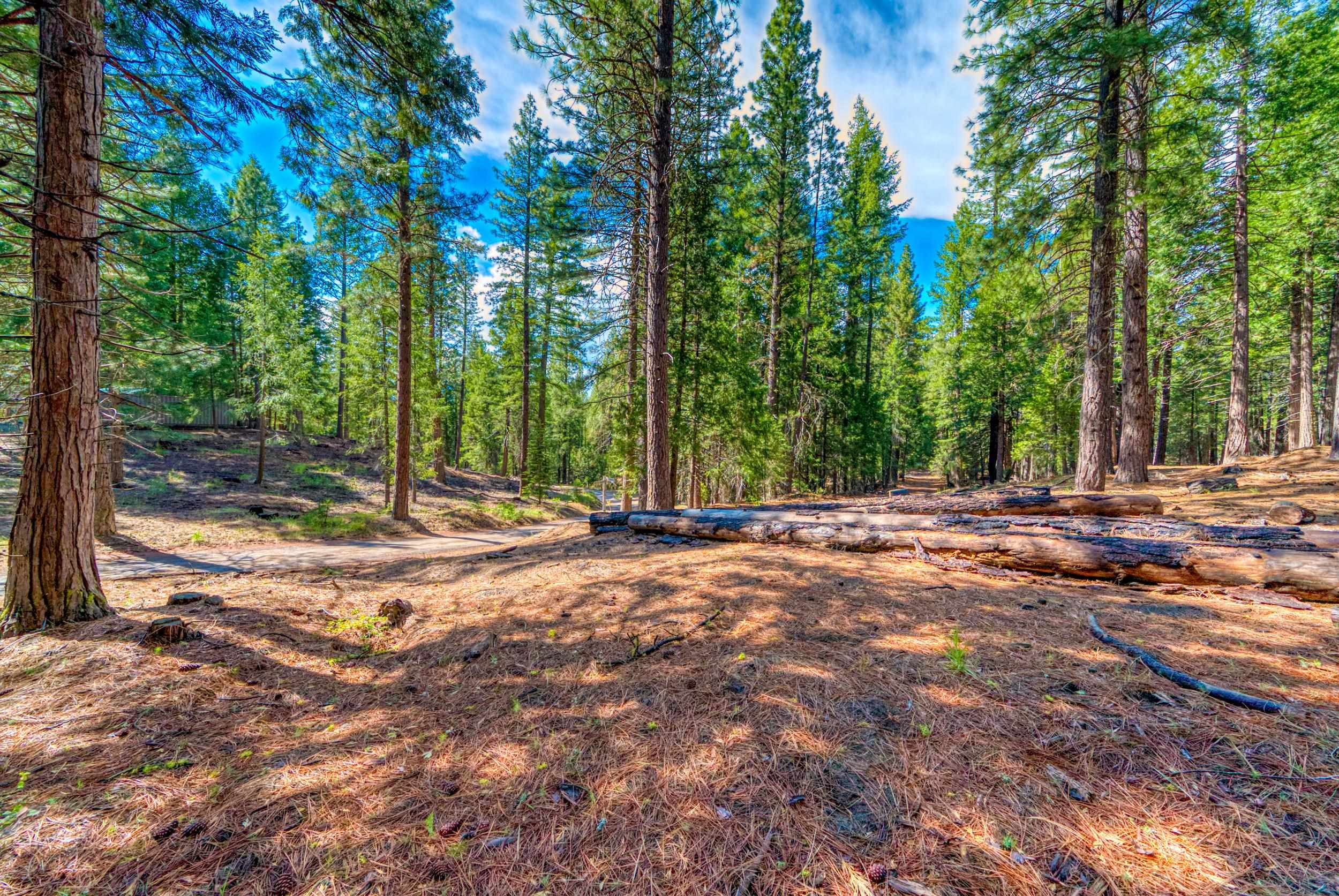 954 Red Fox Road Clio, CA 96106 - Photo 9 of 22