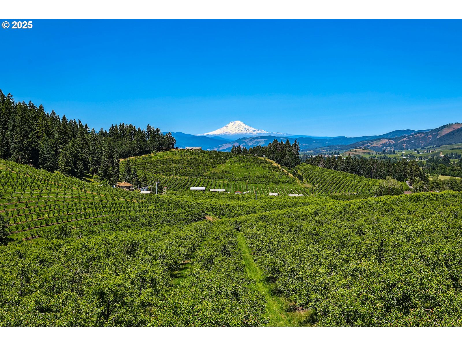 3720 Scott Road Hood River, OR 97031 - Photo 3 of 24 Gallery Image 3