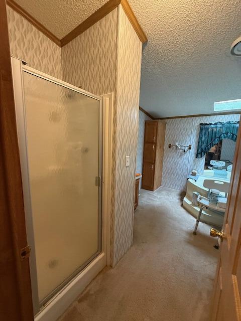 687 North Frank Smith Road Luther, MI 49656 - Photo 23 of 42 IMG_5734