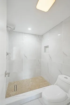 a bathroom with a shower and a toilet