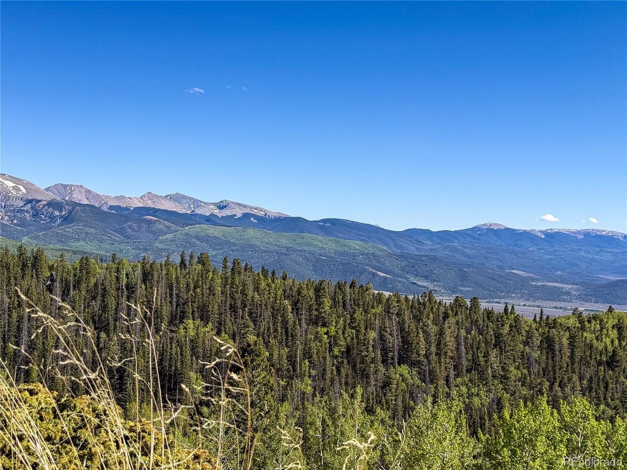 6829 Ryland Road San Luis, CO 81152 - Photo 10 of 28 a view of a lush green field with mountains in the background