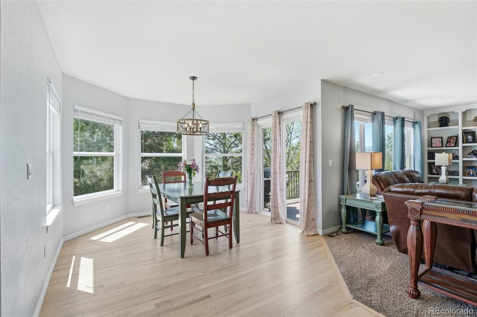 822 Shadowstone Drive Highlands Ranch, CO 80129 - Photo 11 of 45