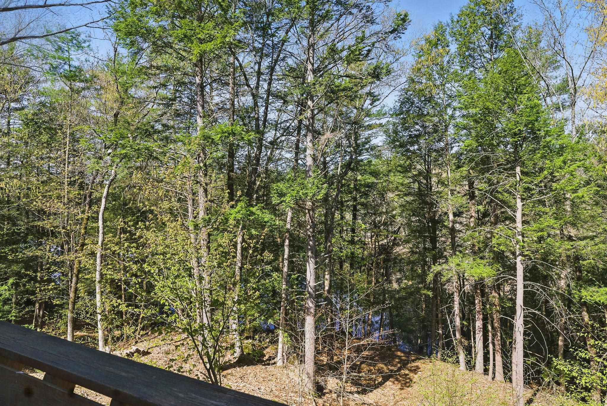 59 Horace Greeley Road, Unit 105604 Amherst, NH 03031 - Photo 34 of 37 Gallery Image 34