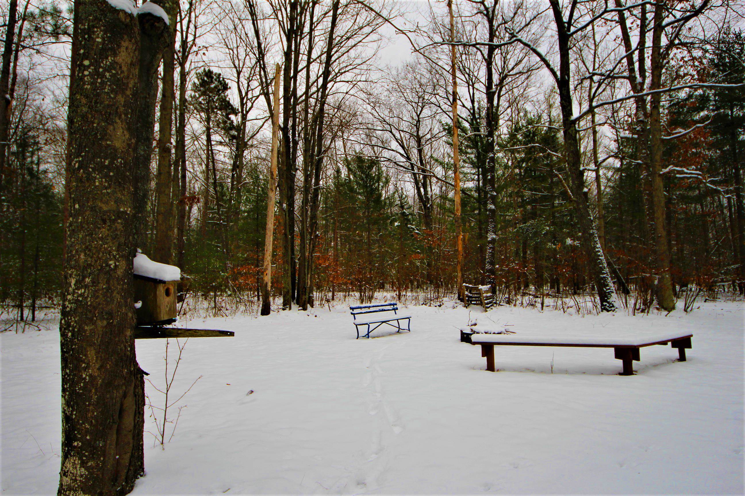 6201 Betsie River Road Interlochen, MI 49643 - Photo 3 of 20