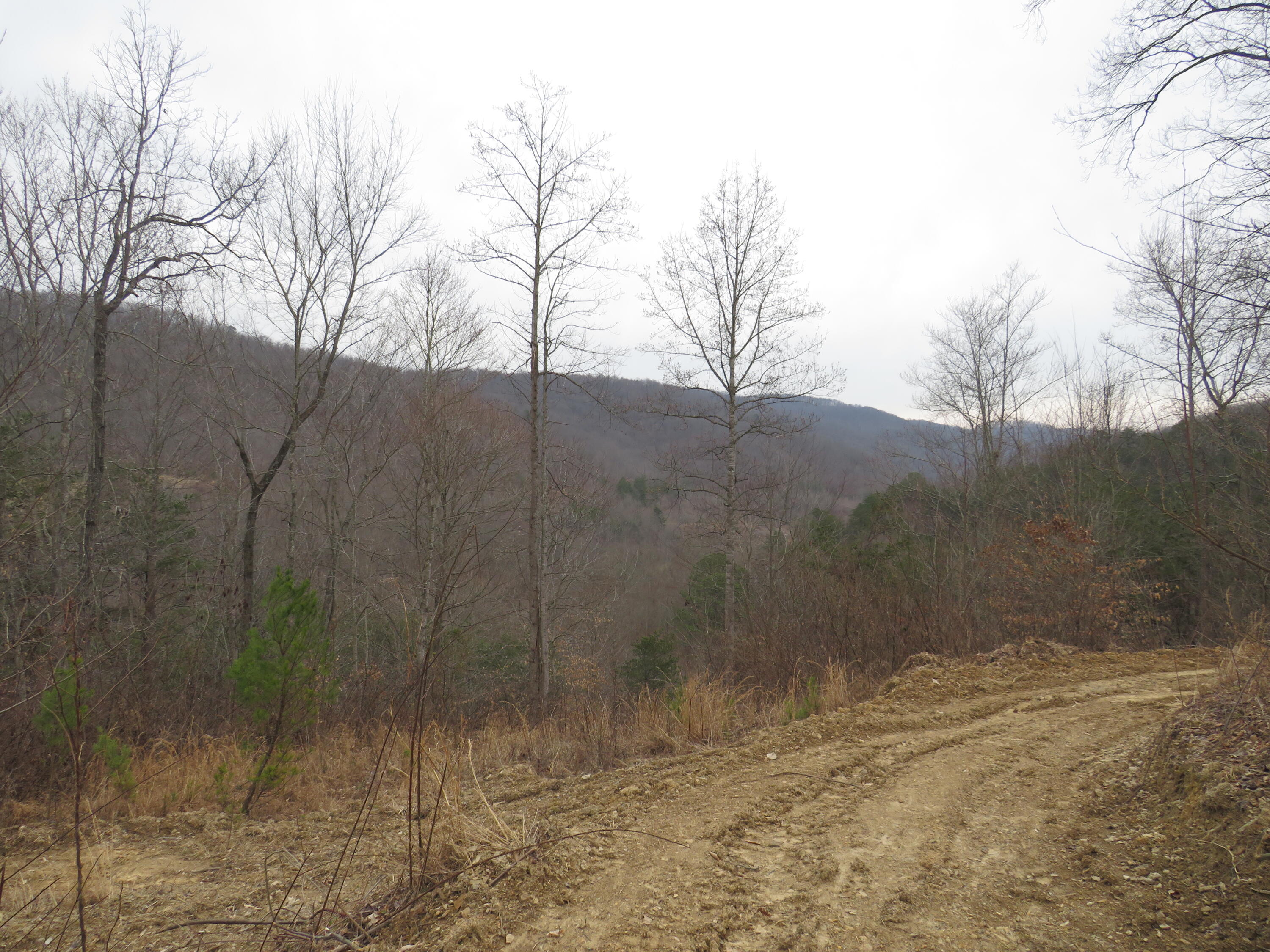 0 Catron Branch Road Bryants Store, KY 40921 - Photo 27 of 47 IMG_3643 - Copy