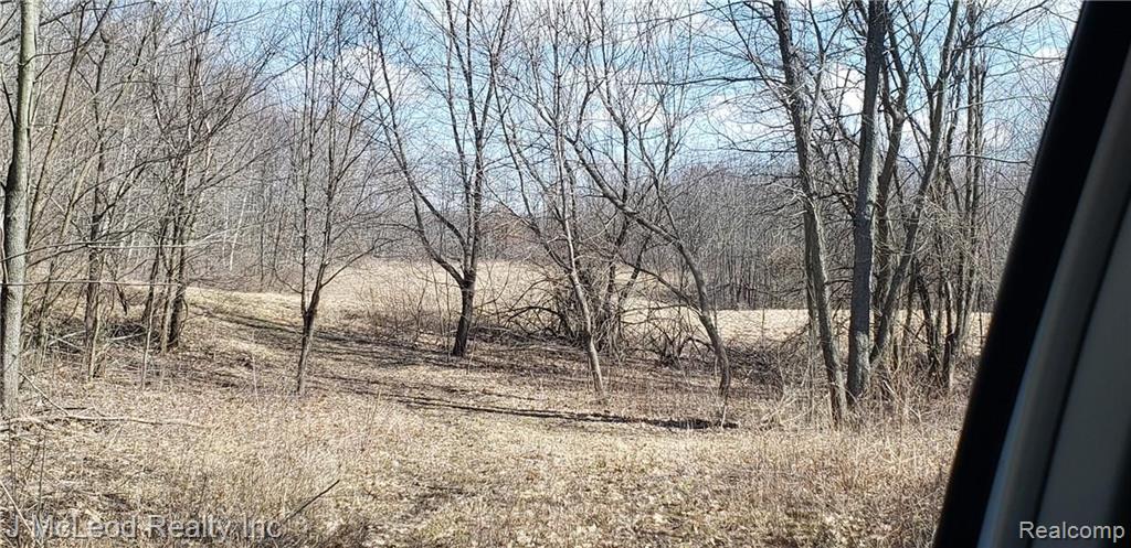 Vl Oak Road Millington, MI 48746 - Photo 10 of 10