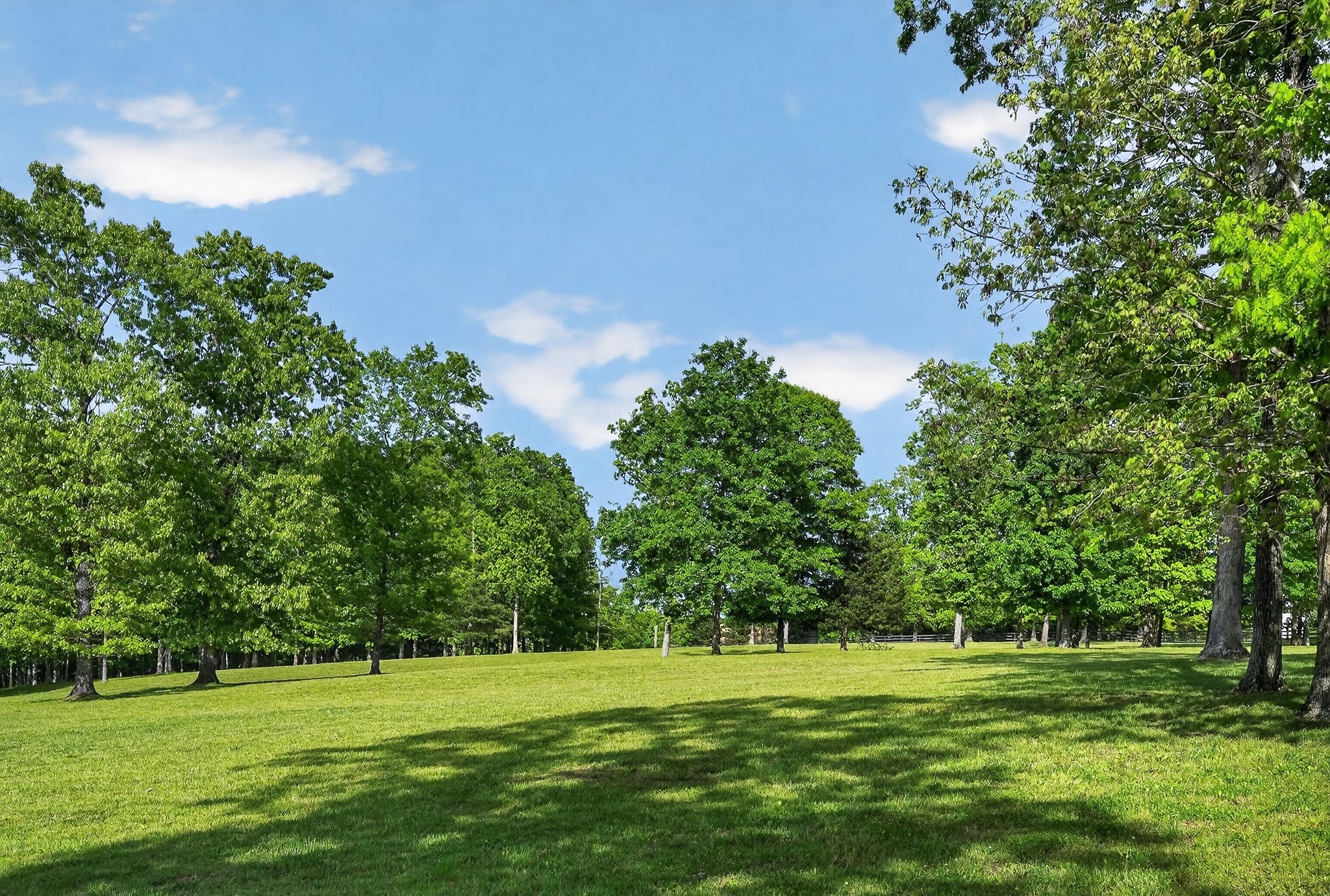 933 John Henry Lewis Road Dunlap, TN 37327 - Photo 14 of 100