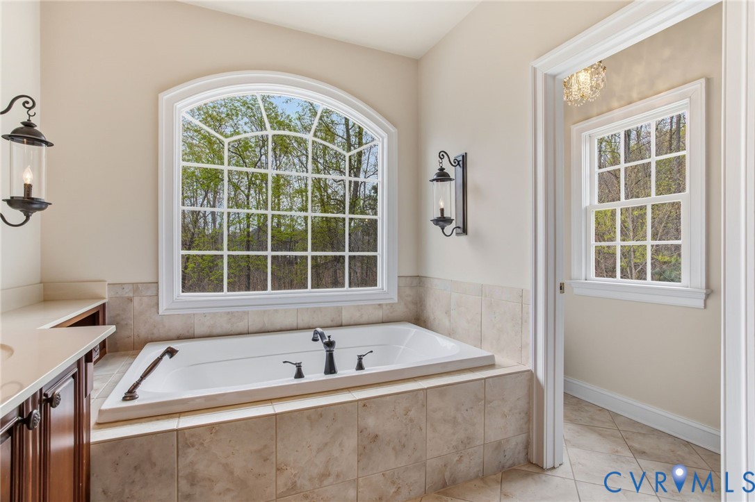 3100 Sodbury Court Midlothian, VA 23113 - Photo 38 of 94 a bath tub sitting next to a window