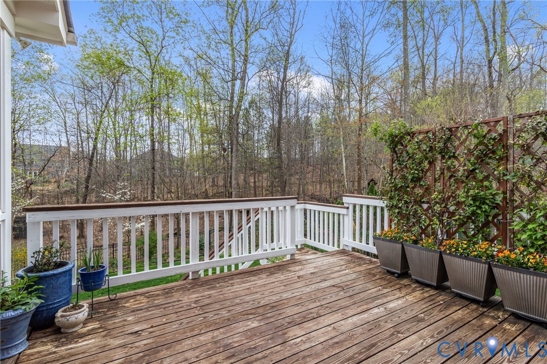 3100 Sodbury Court Midlothian, VA 23113 - Photo 68 of 94 with conveying Jasmine wall