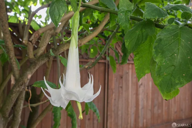 $799,000 | 32-36 Richland Avenue, Unit 32, San Francisco, CA 94110