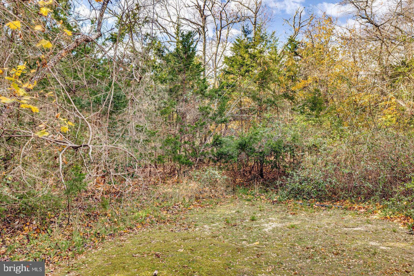 63 Siegtown Road Cape May Court House, NJ 08210 - Photo 5 of 9