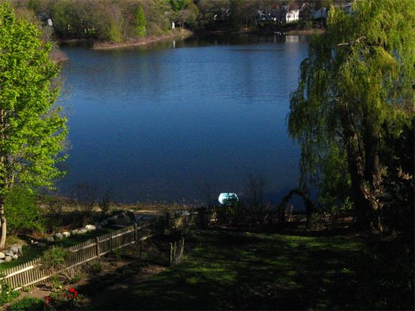 6 Inverness Road Winchester, MA 01890 - Photo 22 of 30 Gallery Image 22