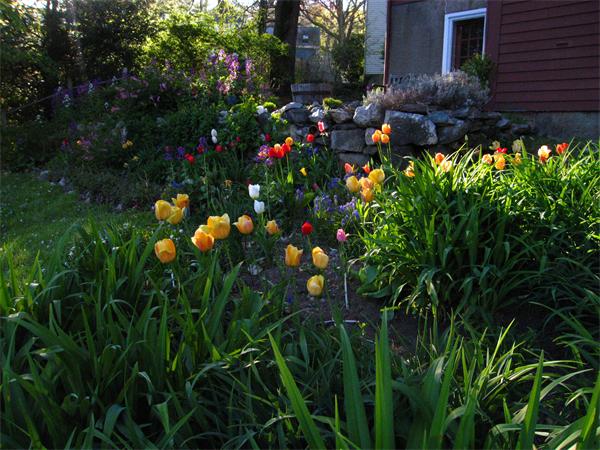 6 Inverness Road Winchester, MA 01890 - Photo 23 of 30 Gallery Image 23