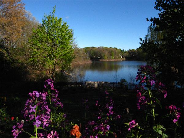 6 Inverness Road Winchester, MA 01890 - Photo 26 of 30 Gallery Image 26