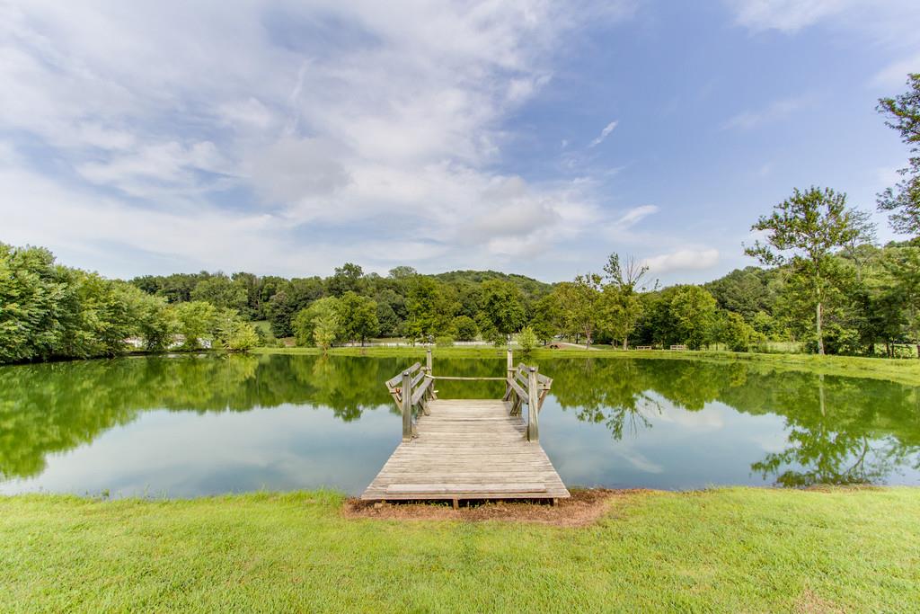 1574 Terrapin Branch Road Mount Pleasant, TN 38474 - Photo 4 of 30 Gallery Image 4