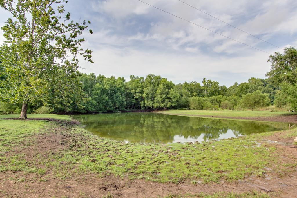 1574 Terrapin Branch Road Mount Pleasant, TN 38474 - Photo 7 of 30 Gallery Image 7