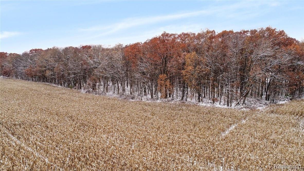 Vl Vl Dean Road Howell, MI 48855 - Photo 11 of 21 aerial10.jpeg