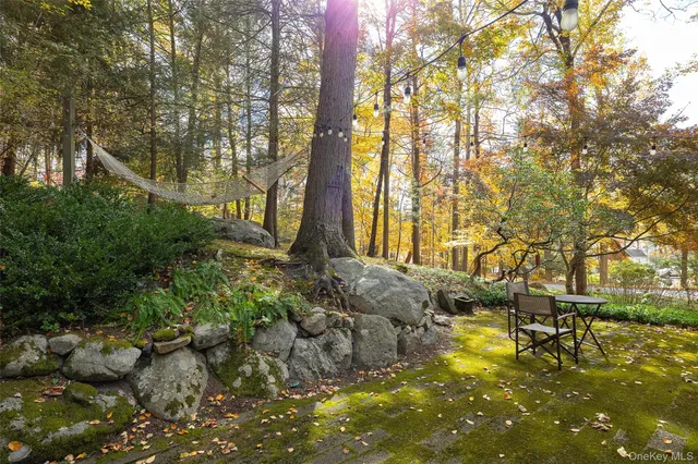a view of backyard with tree